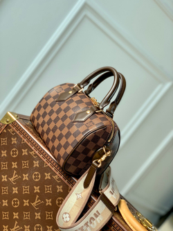 Louis Vuitton Speedy 20