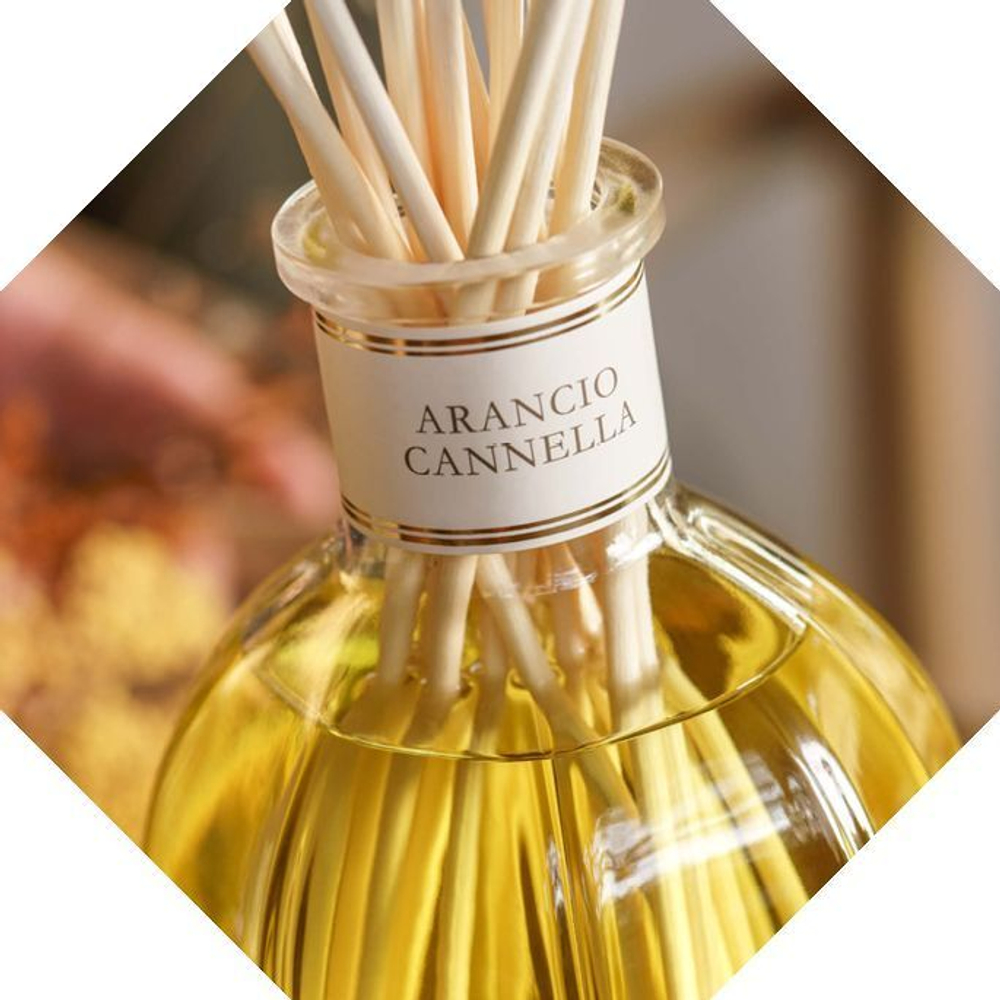 Dr. Vranjes Arancio Cannella спрей-ароматизатор воздуха (аромат апельсин и корица)