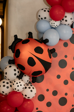 Lady Bug Party