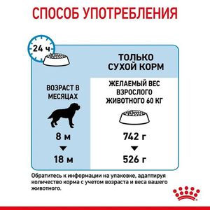 Корм для щенков очень крупных размеров с 8 месяцев, Royal Canin Giant Junior