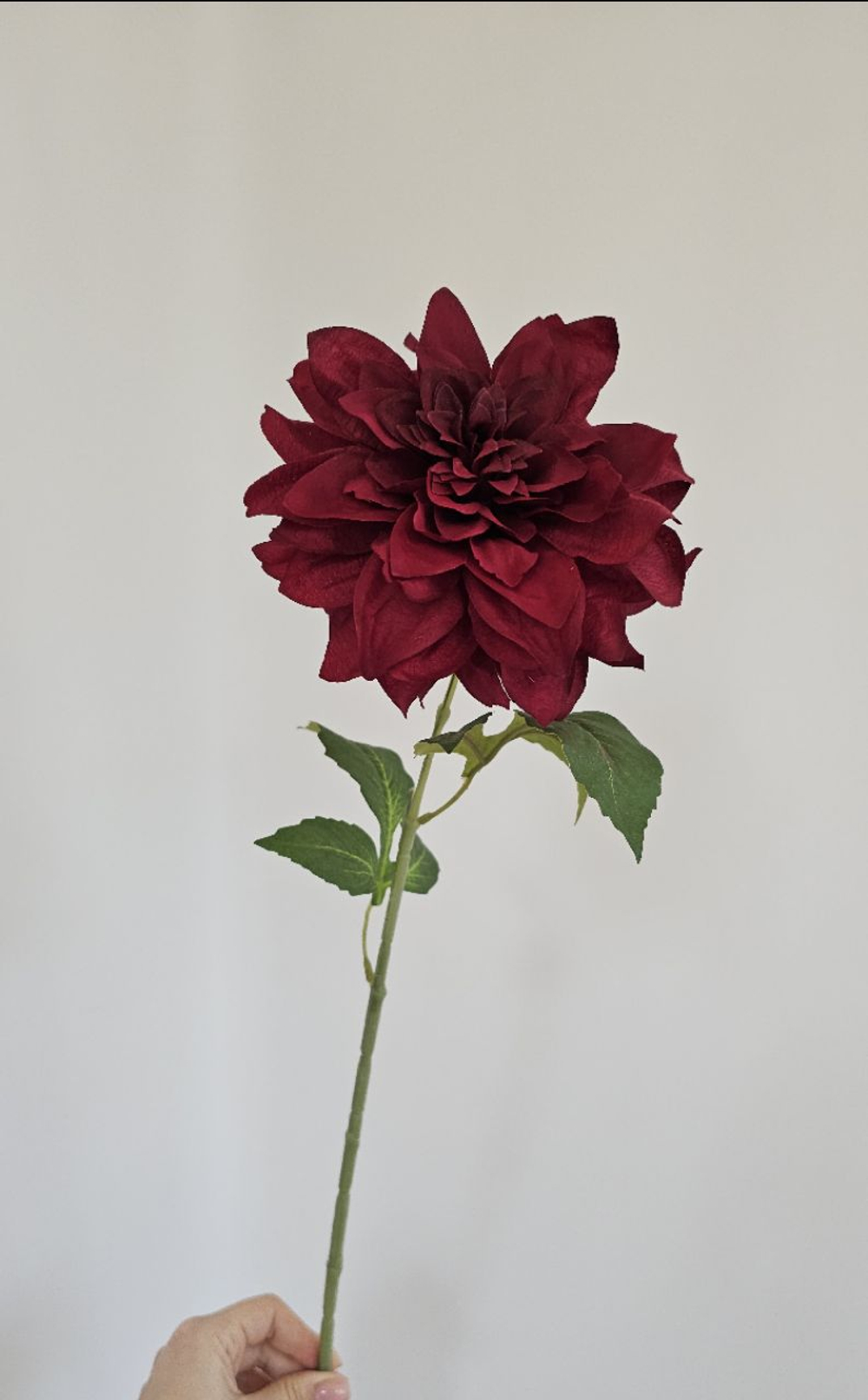 Георгин / Арт 2476