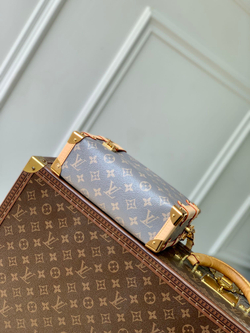 Louis Vuitton Side Trunk MM