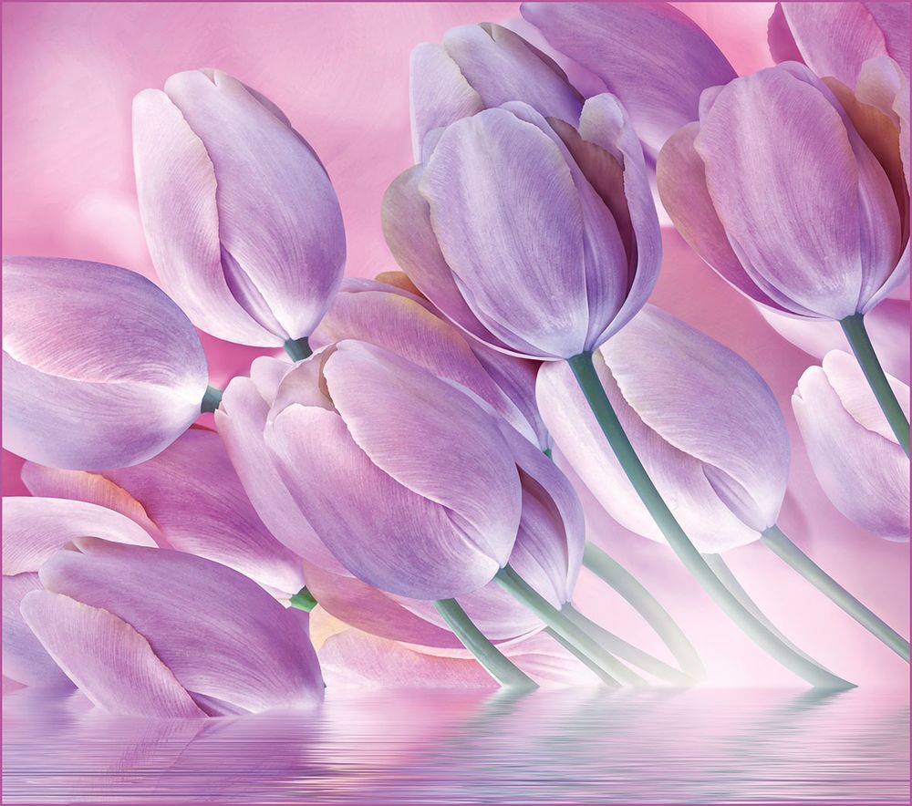 Фотообои ВЕСЕННЯЯ АКВАРЕЛЬ А096 294х260 VIP VOSTORG