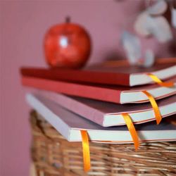 Записная книжка Rhodiarama в мягкой обложке A5 в точку 90 гр Burgundi бордовая (117436C) 5