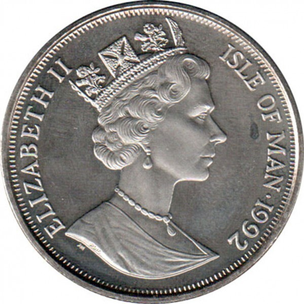 Сиамская кошка