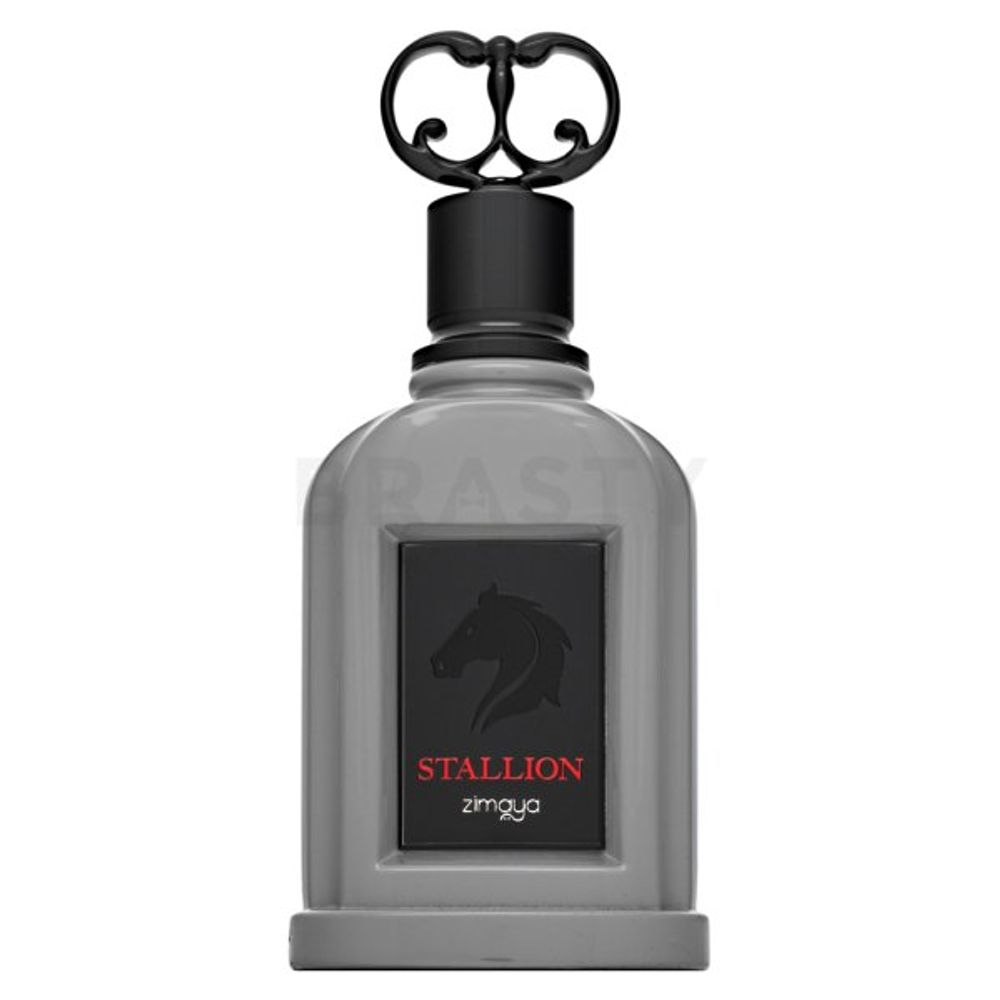 Zimaya Stallion EDP M 100 ml