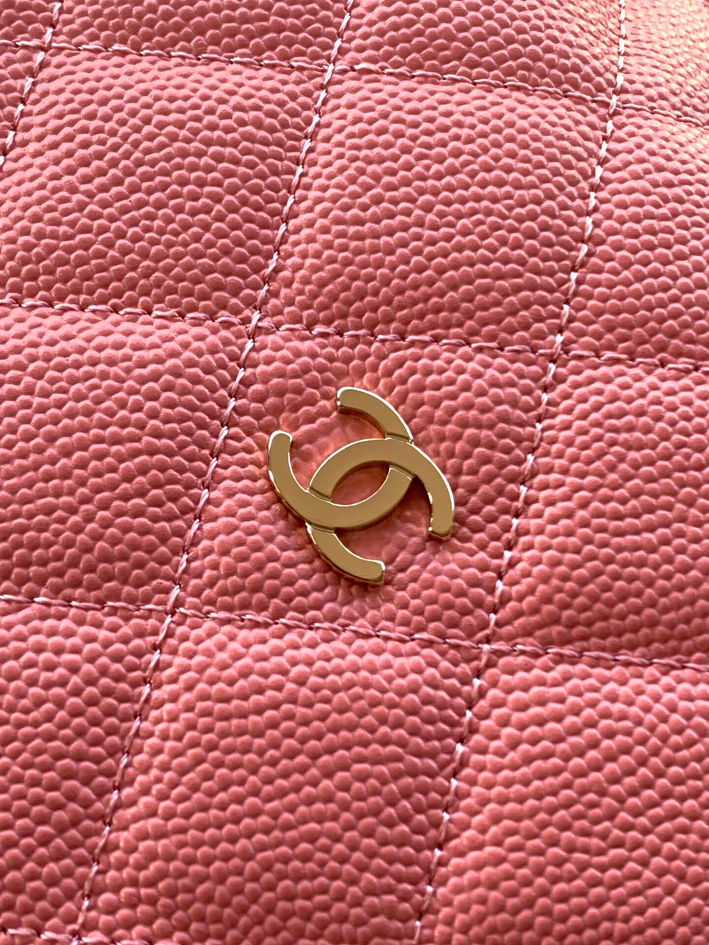 Chanel Bag 21 cm