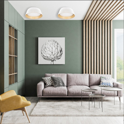 10224 White Потолочный светильник LOFT IT Evans