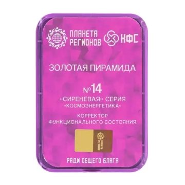 КФС №14 «ЗОЛОТАЯ ПИРАМИДА» КФС Кольцова 8 элементов