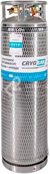 Вертикальный криоцилиндр CRYOBAK DPL450-210-2,3