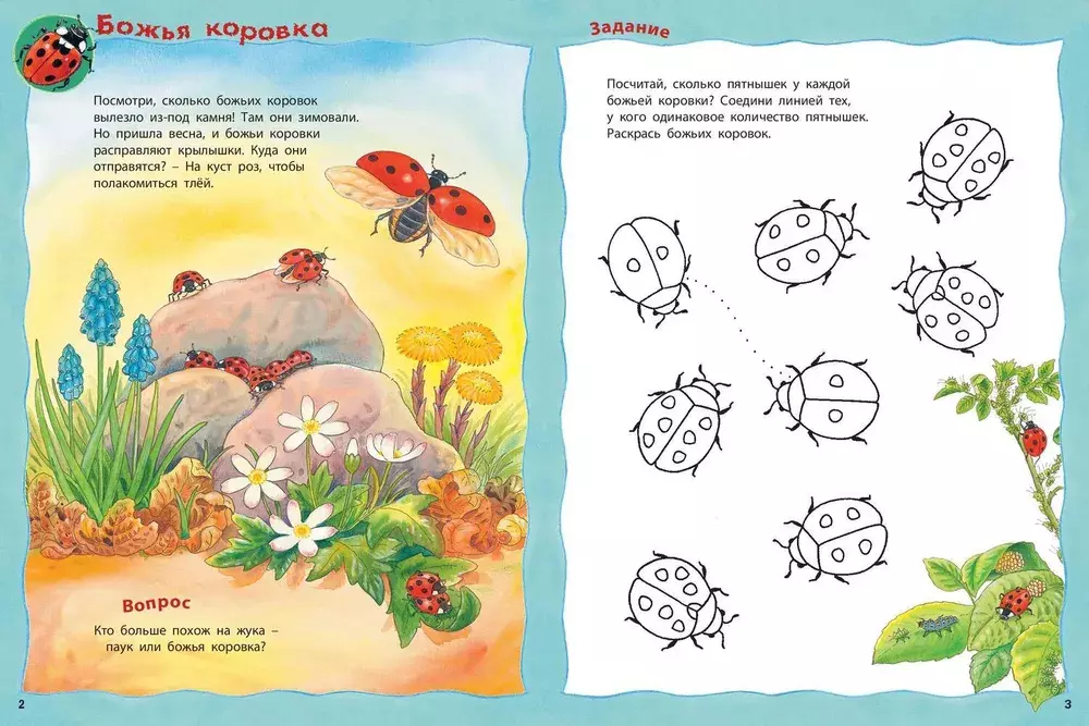 Кто живёт на лугу? Книжка-активити с развивающими заданиями, головоломками, наклейками