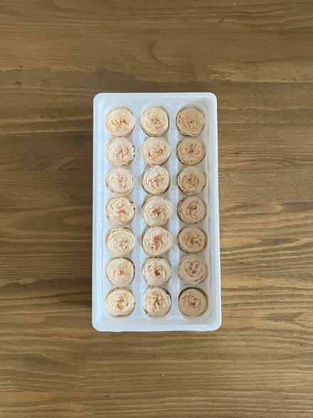 Роза пионовидная шампань d=2-3 см (упак 21 шт)