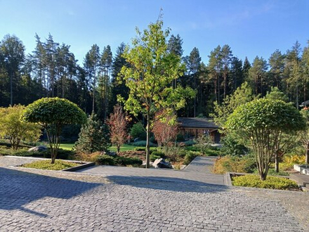 Благоустройство