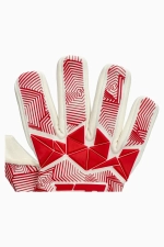 Вратарские перчатки Football Masters Varis X Pro