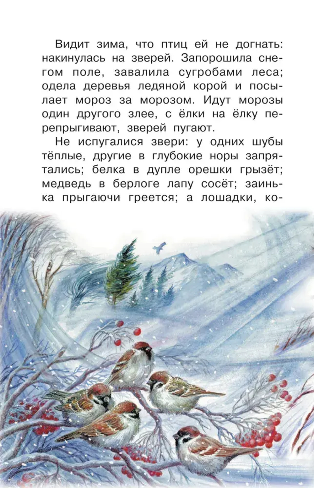 Лесные рассказы