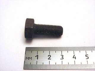 Болт10х 25x1,25 звездочки распредвала и шаровой опоры 2108 (черный) (ОАО «БелЗАН») 8/FCG779800-10025