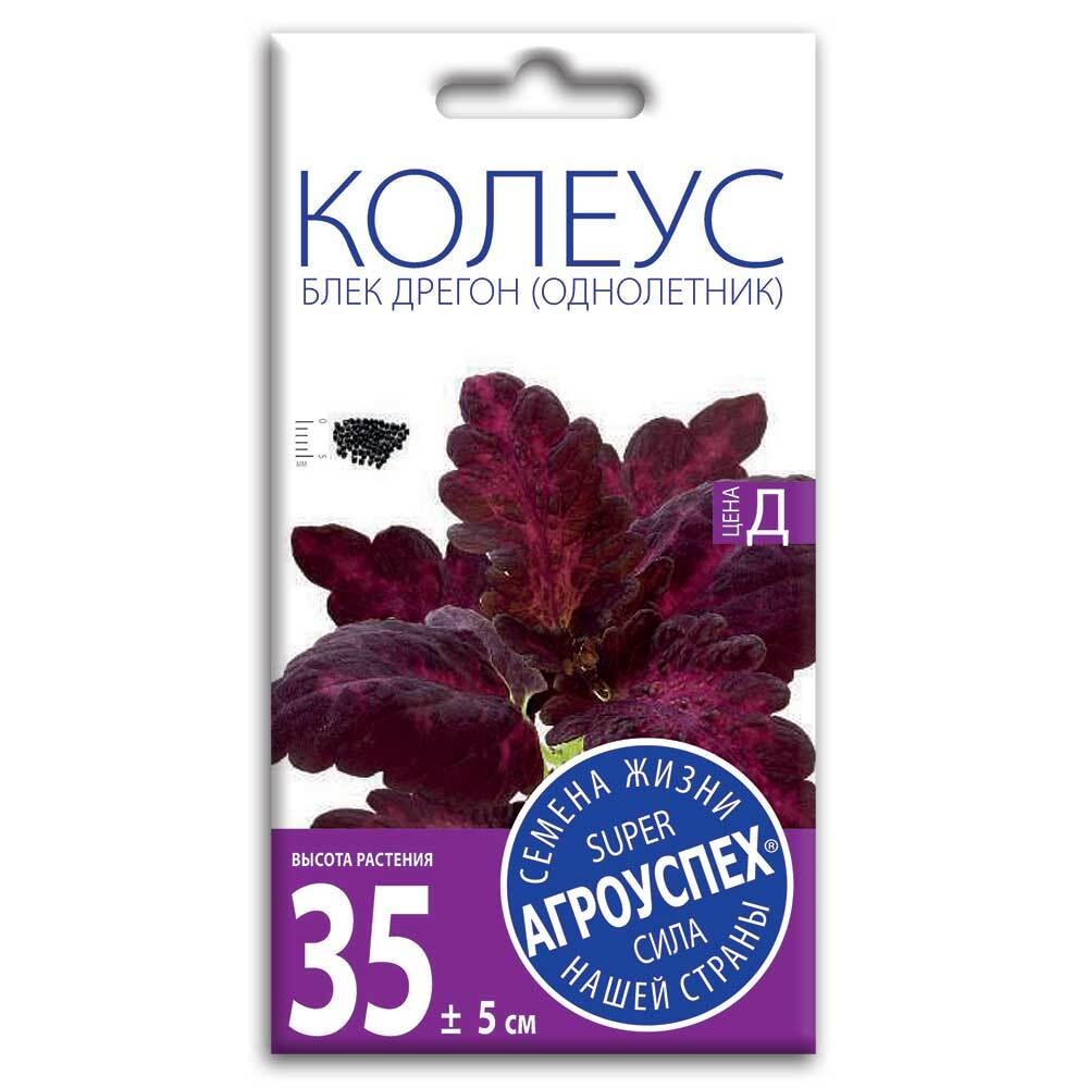 Колеус Блек Дрегон, семена Агроуспех 10шт (500)