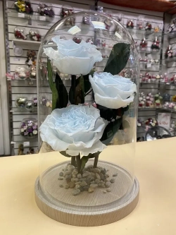 Клош с пионами