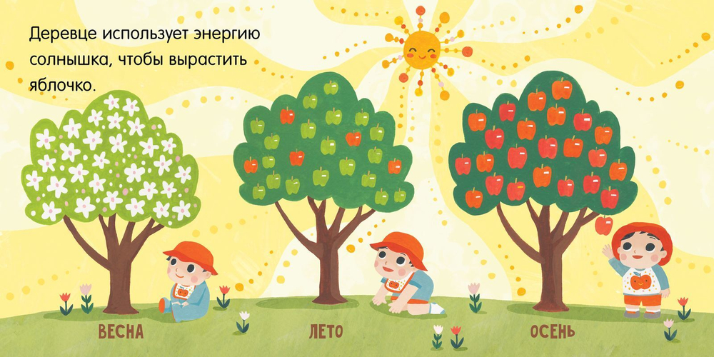 Малыш любит науку. Термодинамика