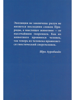 За пределы человека. Жизнь и деятельность Шри Ауробиндо и Матери