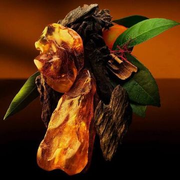 Louis Vuitton Ambre Levant