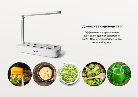 Настольная садовая ферма