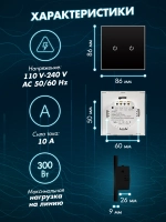 Выключатель сенсорный двухклавишный проводной для дома