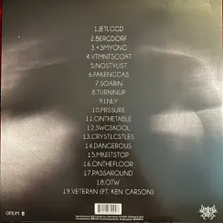 Destroy Lonely – No Stylist - LP