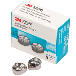 Первый верхний правый моляр, размер 6 (D-UR-6)