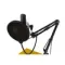 Ritmix RDM-169 USB Black
