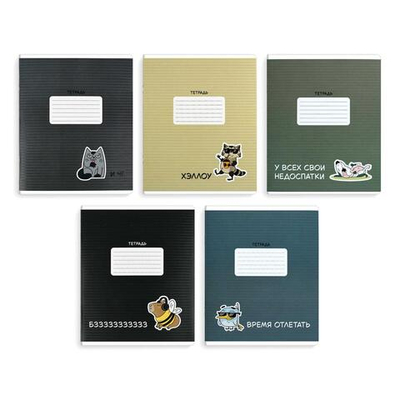 Тетрадь А5 18л. линия "Герои с характером" УФ-лак, мелов.картон, ассорти (Феникс+)