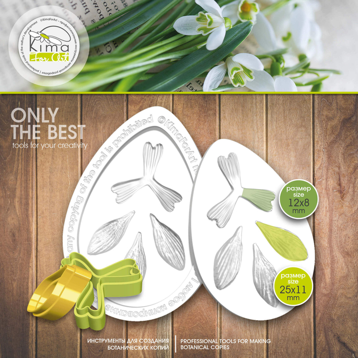 Подснежник