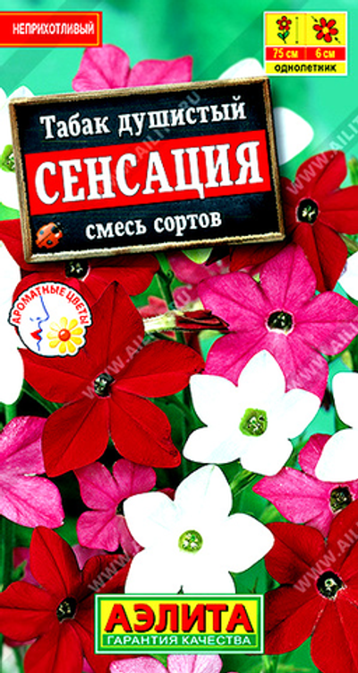 Табак душистый Сенсация, смесь сортов