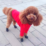 302 SA Ботинки "Эко кожа" осень