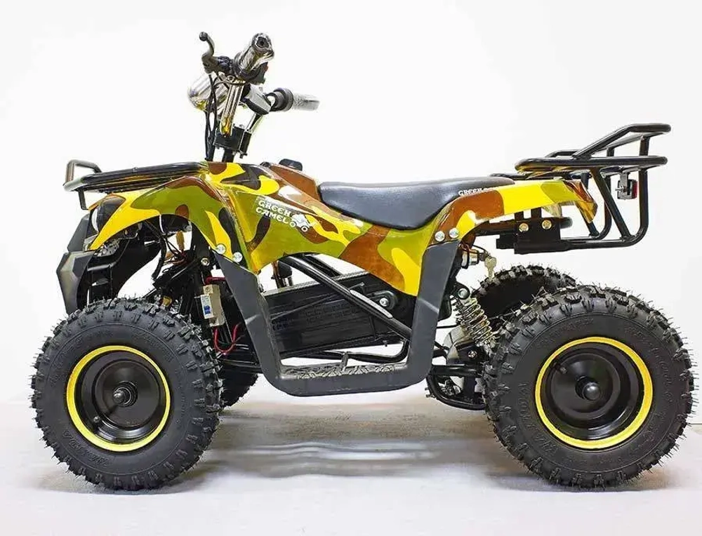 Электроквадроцикл Green Camel Гоби K40 (36V 800W R6 Цепь) быстросъем
