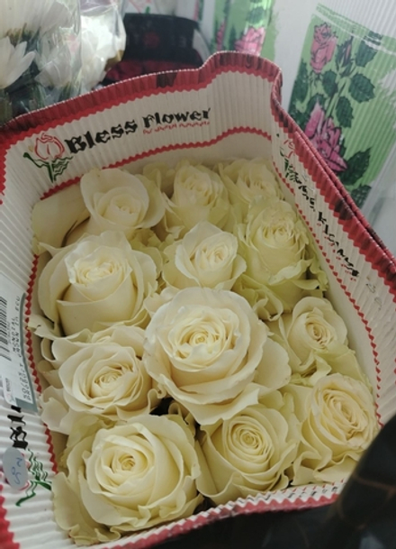 11 белых роз