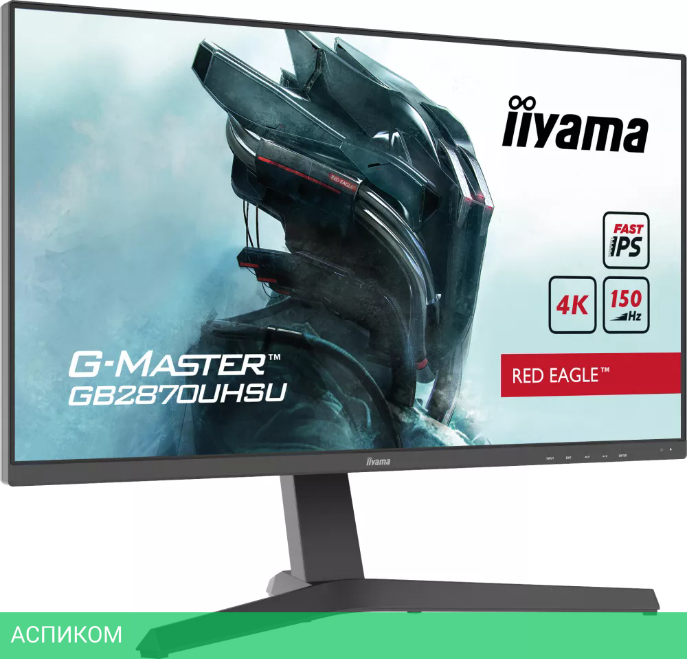 Монитор Iiyama G-Master Red Eagle GB2870UHSU-B1