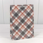 Пакет подарочный 20х30х10см Фигуры и узоры "Клетки и полоски" (Микс)