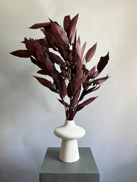 Гликосмис стабилизированный бордовый