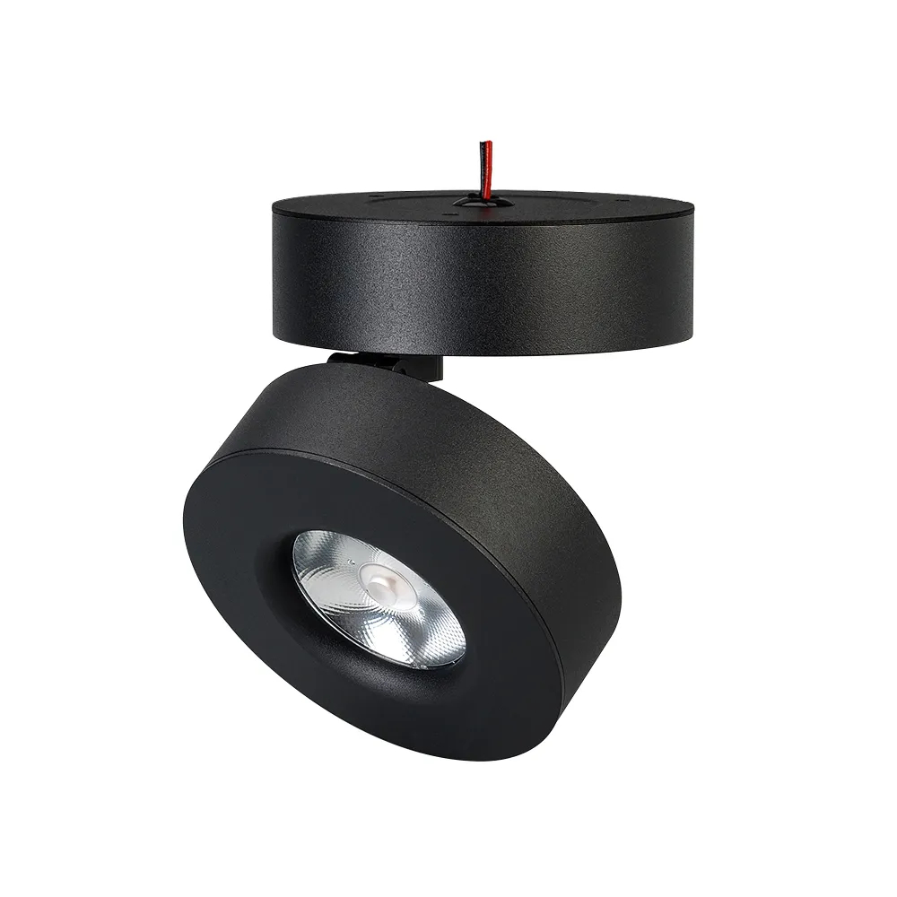 Светильник SP-MONA-SURFACE-R100-12W Warm3000 (BK, 24 deg) (Arlight, IP40 Металл, 3 года) 025443(1)