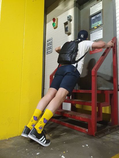 Носки st.Friday Коллега, который съел холодильник