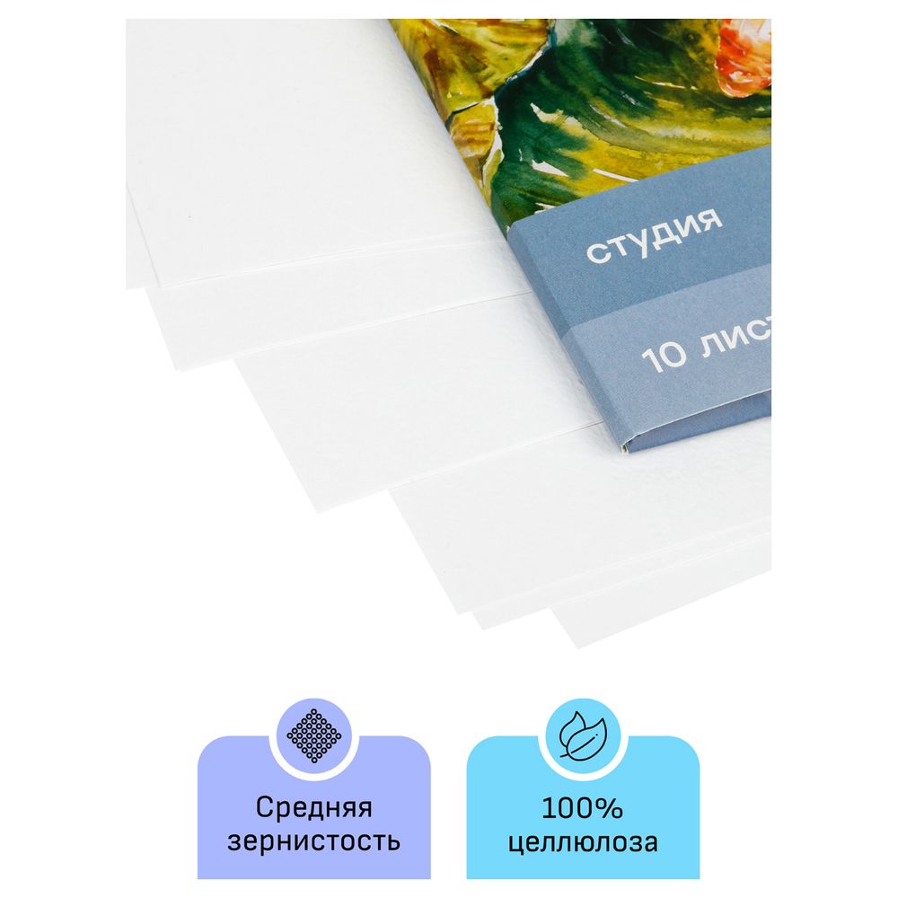 Папка для акварели А4, 10л, 200гр/м, Гамма Студия