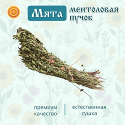 Мята ментоловая пучок.
