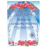 Диплом «Лучшему тестю», формат А4