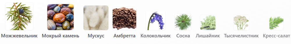 Pineward Holy Cross 32 мл