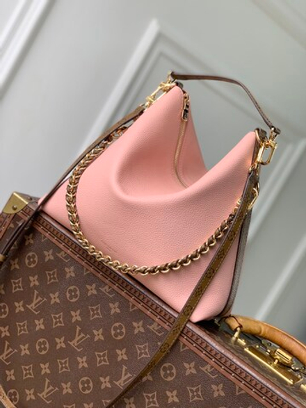 Louis Vuitton Multipass