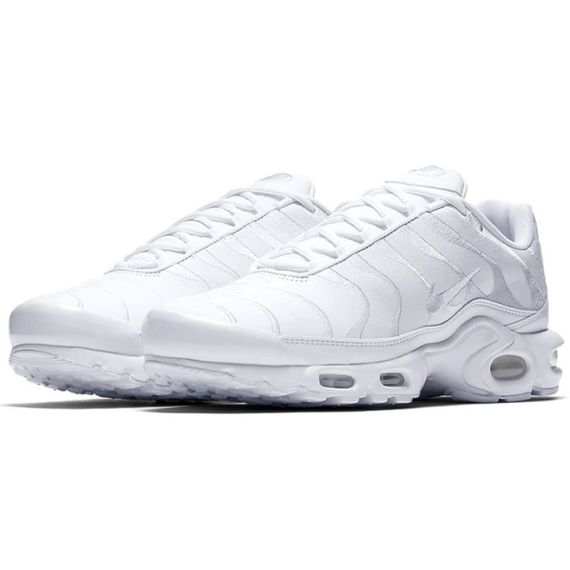 Кроссовки Nike Air Max Plus Мужские