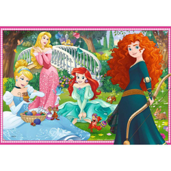 Ravensburger - Пазл Disney Princess В мире принцесс 2 х 12 деталей. 076208