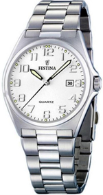 Мужские наручные часы Festina F16374/6