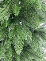 Ель искусственная «Барбара» (Литая хвоя) 120 см / 1,2 м